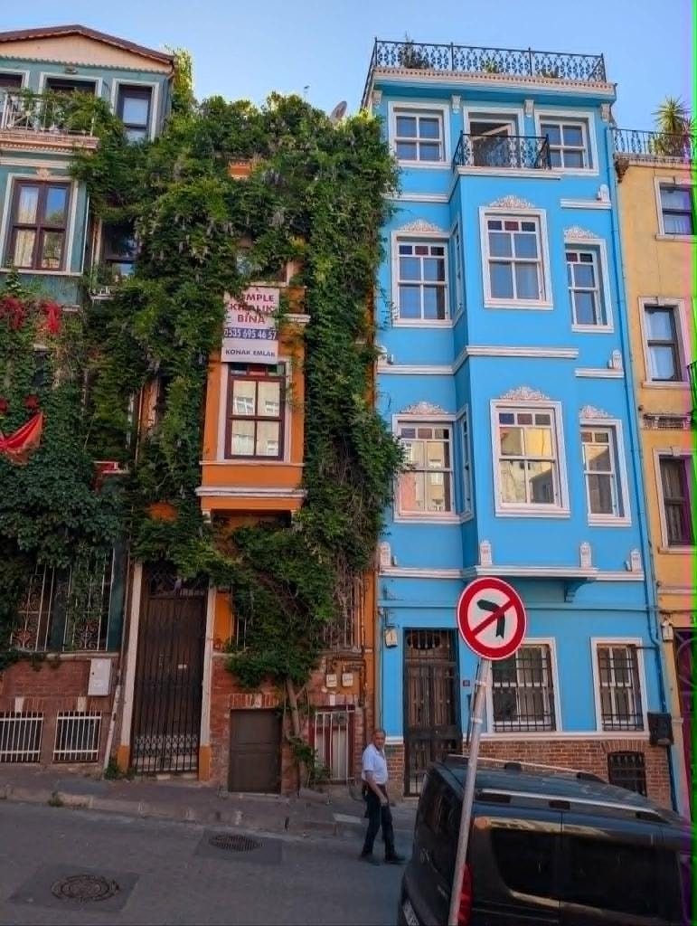 A sky-blue building beside its evergreen-swallowed orange neighbor — two houses, two personalities, one unforgettable corner.